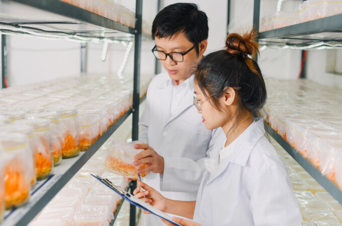 Thương hiệu ‘lội ngược dòng’ mùa dịch nhờ chuyển đổi TMĐT